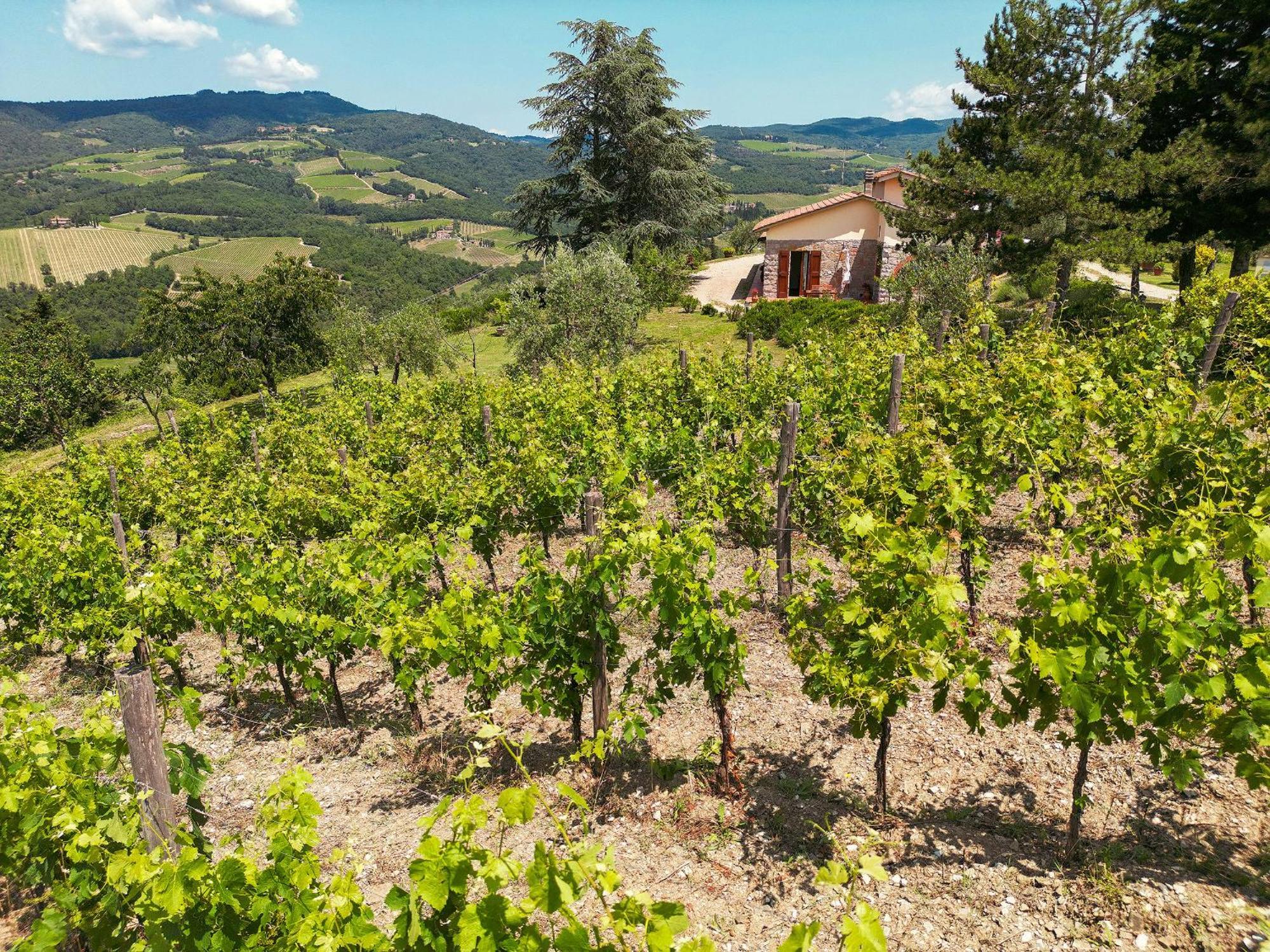 Tenuta Il Poggetto Radda in Chianti Extérieur photo