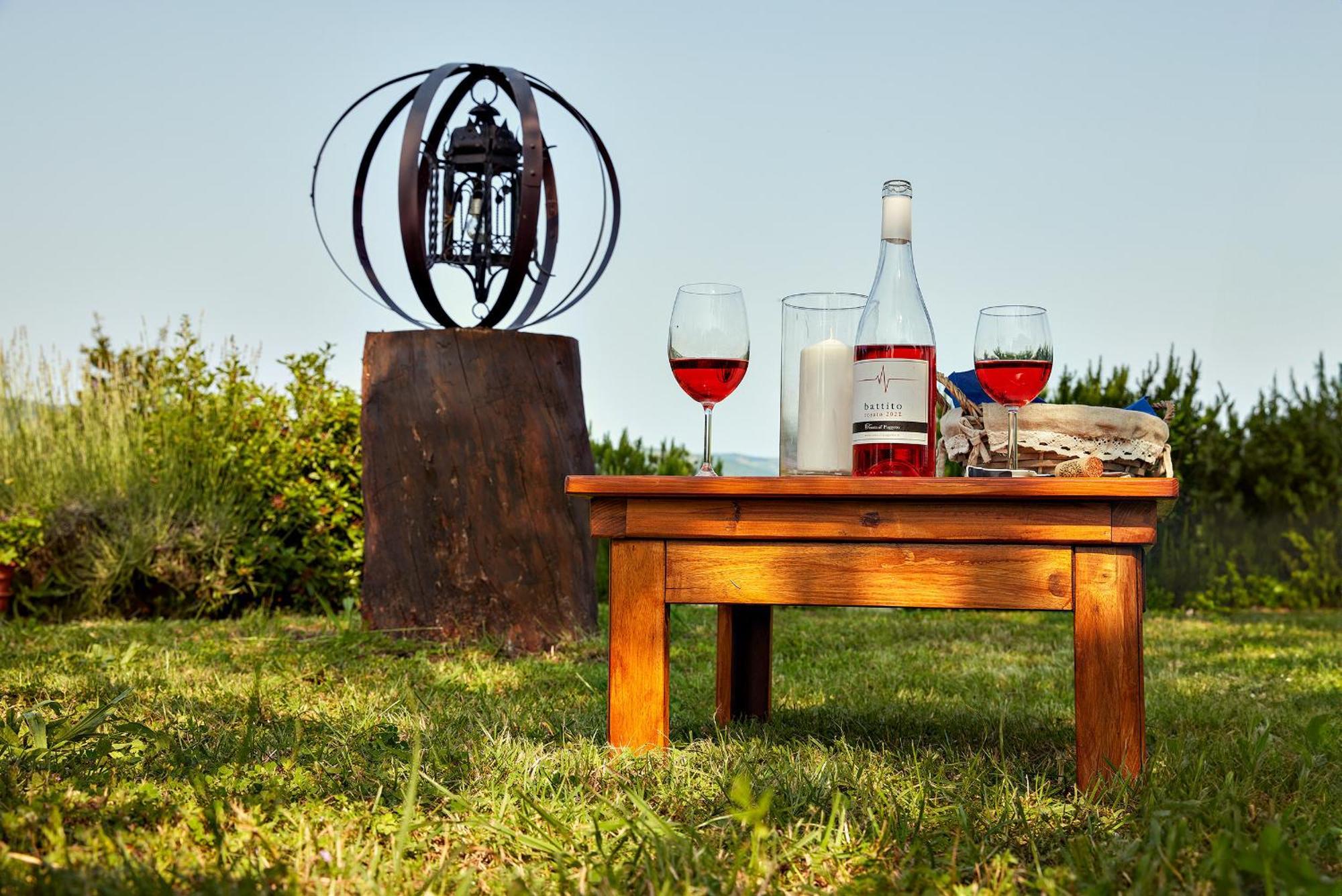 Tenuta Il Poggetto Radda in Chianti Extérieur photo