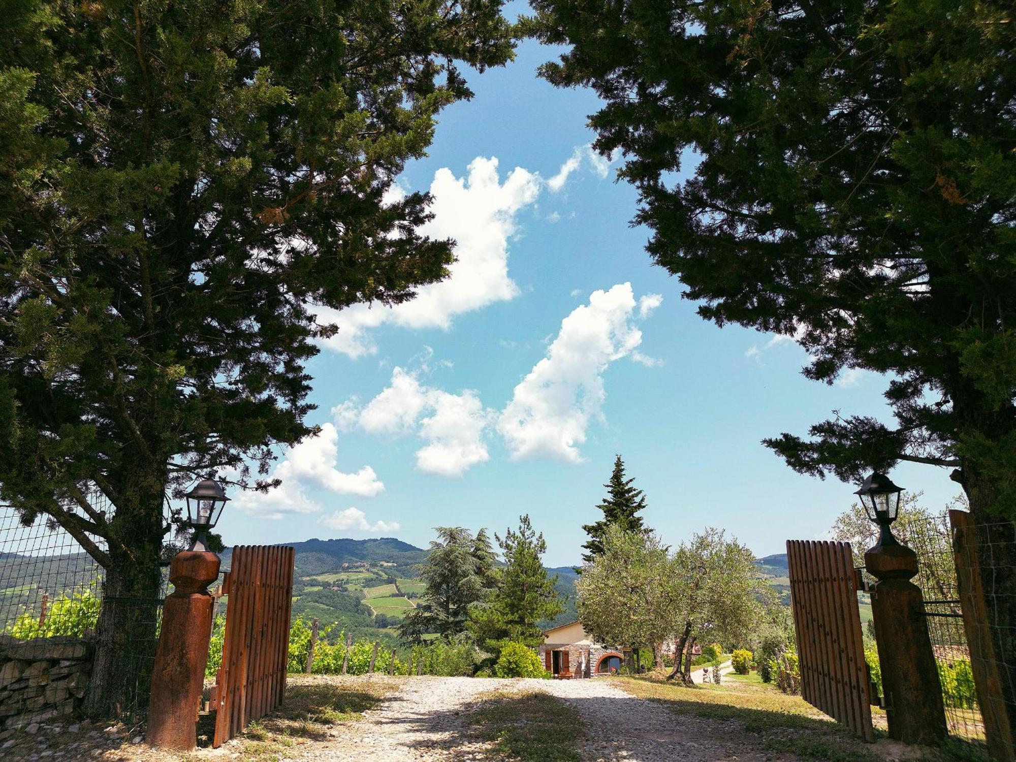 Tenuta Il Poggetto Radda in Chianti Extérieur photo