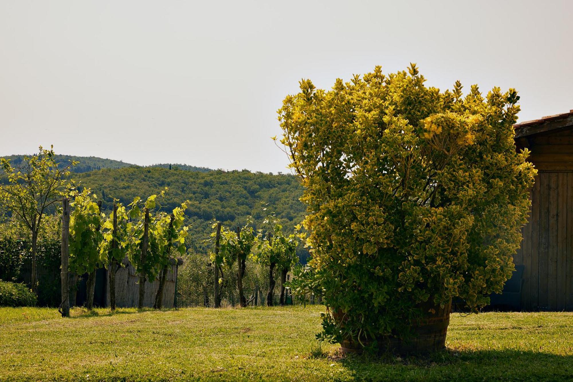 Tenuta Il Poggetto Radda in Chianti Extérieur photo