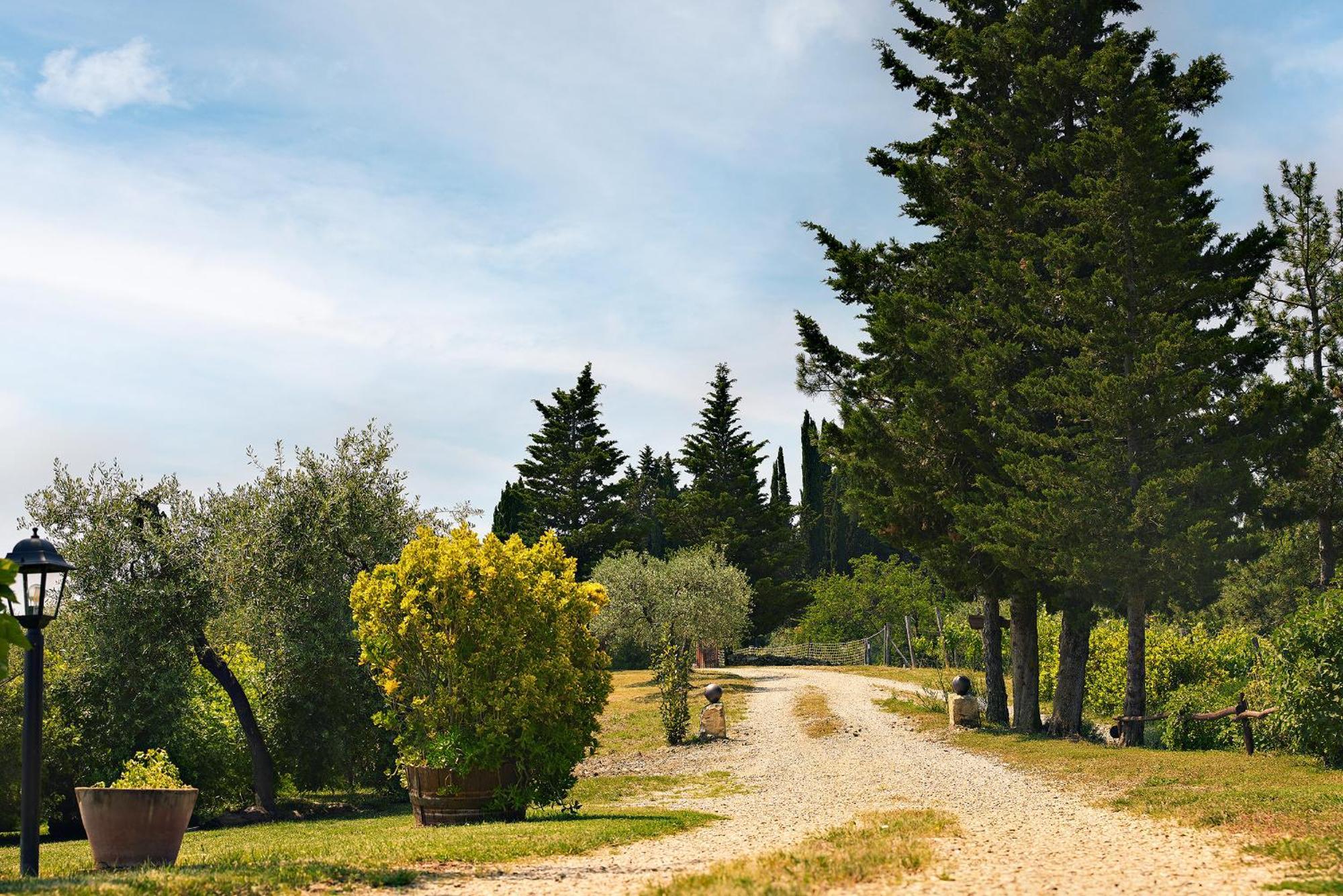 Tenuta Il Poggetto Radda in Chianti Extérieur photo