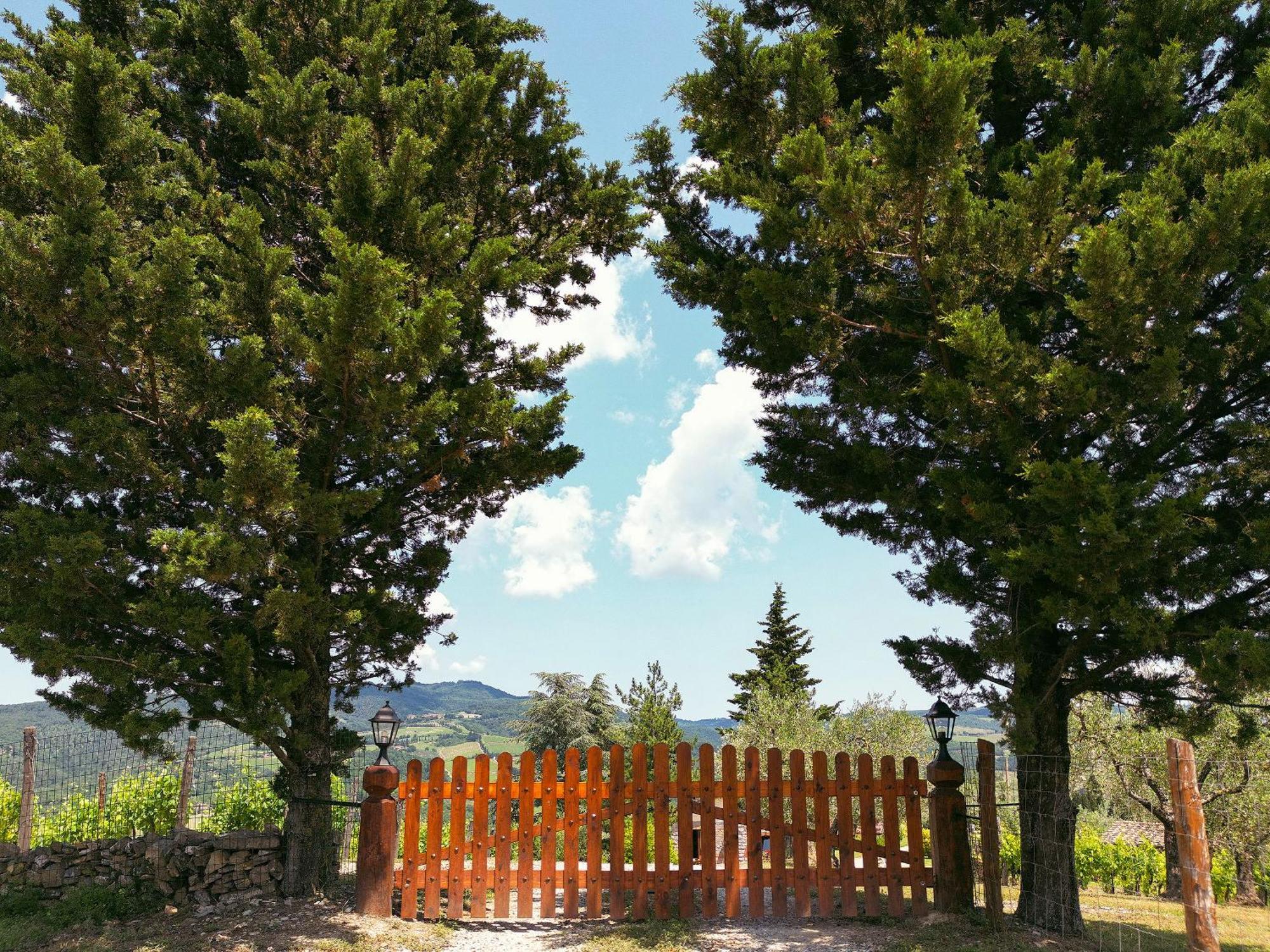 Tenuta Il Poggetto Radda in Chianti Extérieur photo
