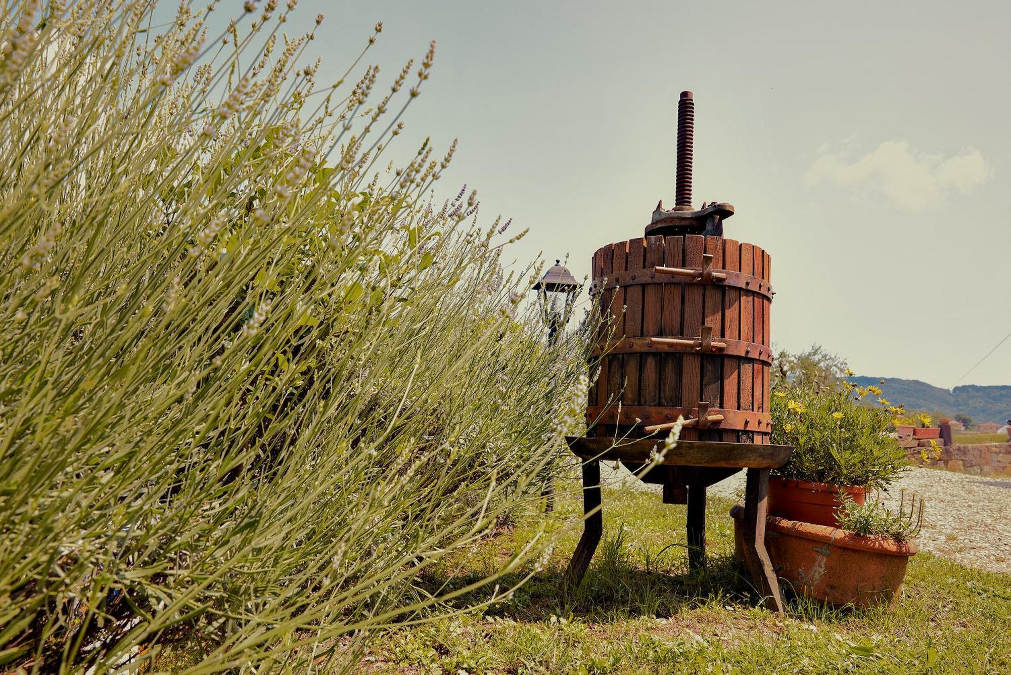 Tenuta Il Poggetto Radda in Chianti Extérieur photo