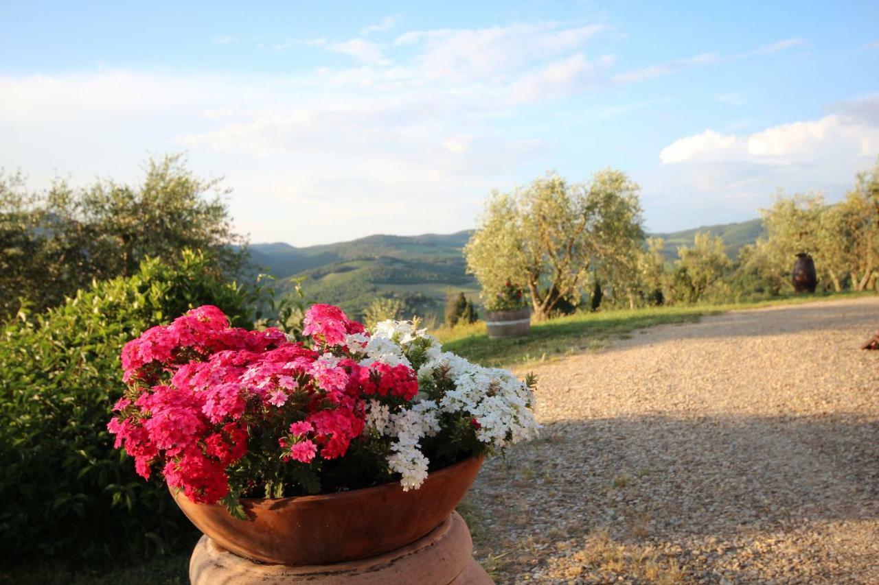 Tenuta Il Poggetto Radda in Chianti Extérieur photo